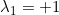Rendered by QuickLaTeX.com \lambda_1 = +1